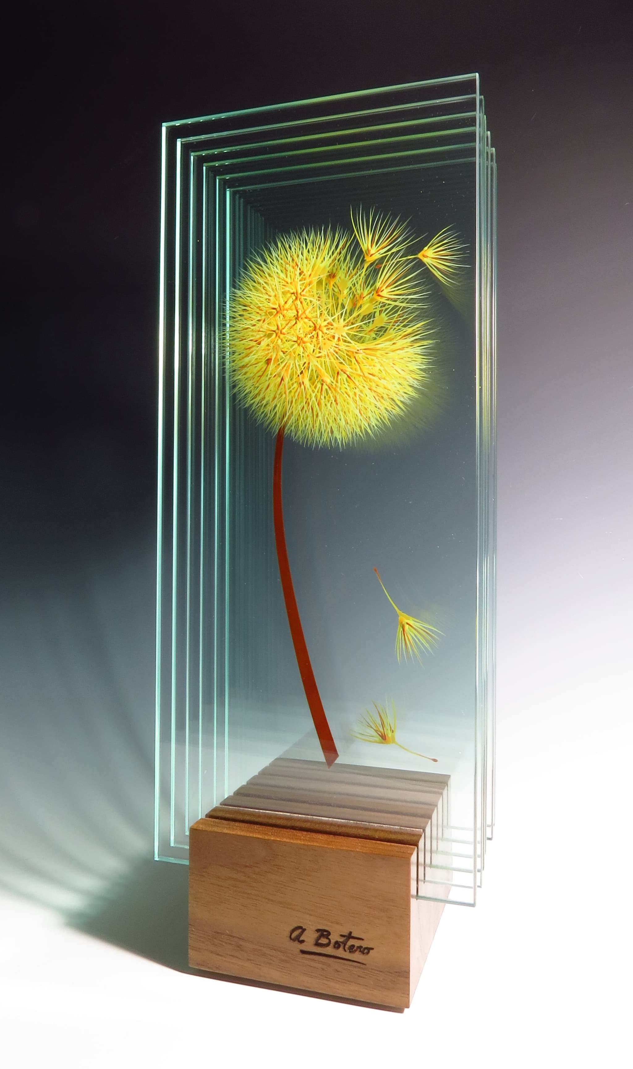 Evening Breeze by Anamaria Botero